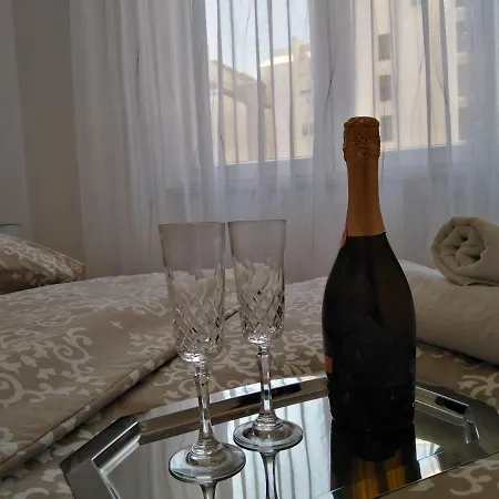 Apartment Roko *
